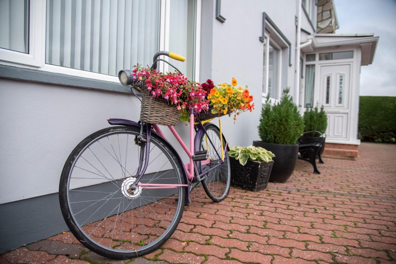 Carrickmore Drom Na Gainne B&B المظهر الخارجي الصورة